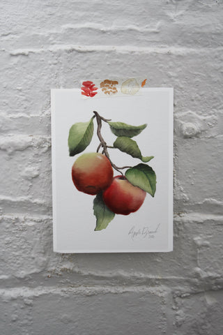 Apple Branch 5x7 Print