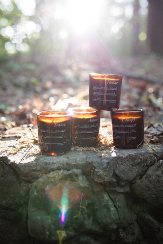 Canopy Glass Candle