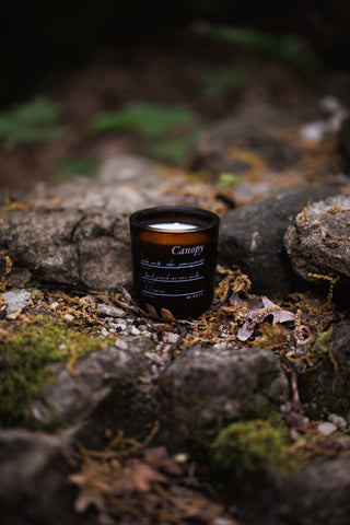 Canopy Glass Candle