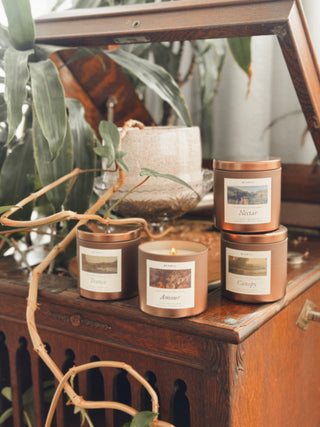 Nectar Candle Tin